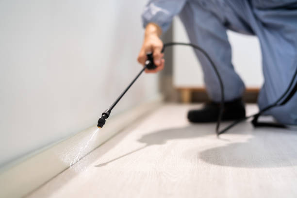 Licensed Pest Control service in Ponder, TX - Show Me Pest Control