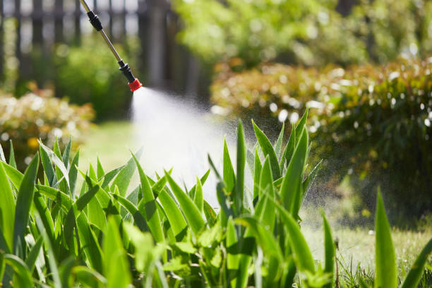 Tamper-Resistant Bait Stations for Rodents in Ponder