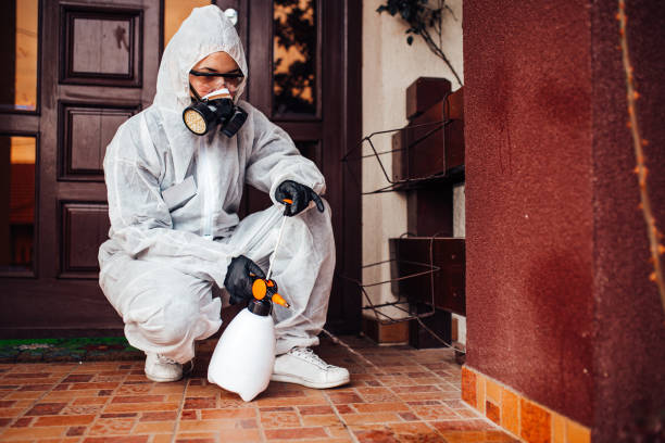 Attic and Crawl Space Rodent Treatment in Ponder